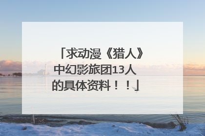 求动漫《猎人》中幻影旅团13人的具体资料！！