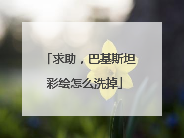 求助，巴基斯坦彩绘怎么洗掉