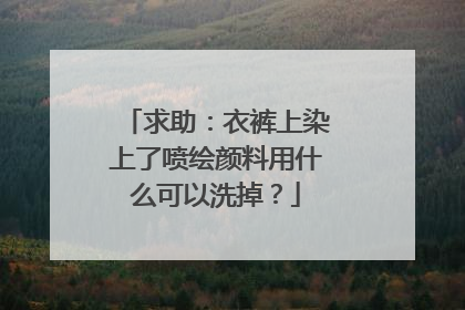 求助：衣裤上染上了喷绘颜料用什么可以洗掉？