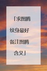 求图腾纹身最好备注图腾含义