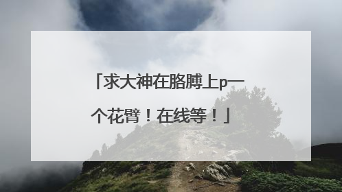 求大神在胳膊上p一个花臂！在线等！