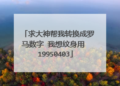 求大神帮我转换成罗马数字 我想纹身用 19950403