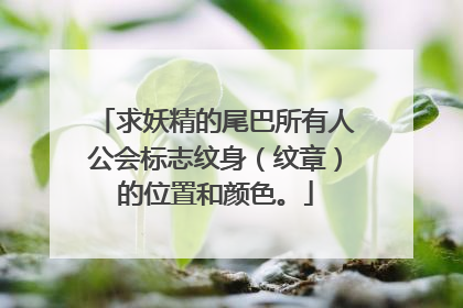 求妖精的尾巴所有人公会标志纹身（纹章）的位置和颜色。
