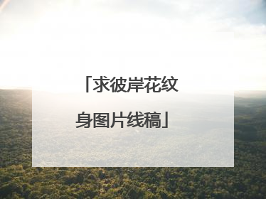 求彼岸花纹身图片线稿