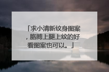 求小清新纹身图案，胳膊上腿上纹的好看图案也可以。