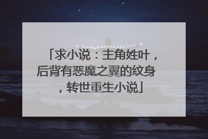 求小说：主角姓叶，后背有恶魔之翼的纹身，转世重生小说