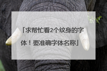 求帮忙看2个纹身的字体！要准确字体名称