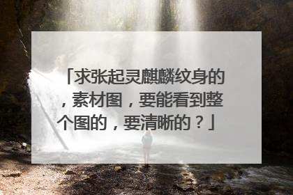 求张起灵麒麟纹身的,素材图,要能看到整个图的,要清晰的?