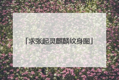 求张起灵麒麟纹身图