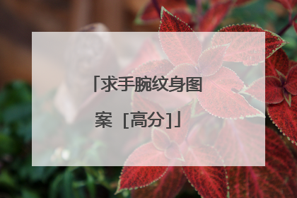 求手腕纹身图案 [高分]