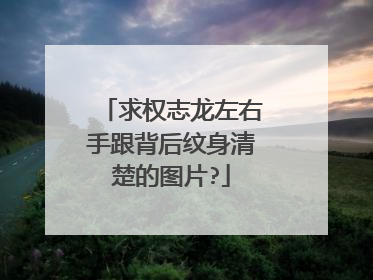 求权志龙左右手跟背后纹身清楚的图片?