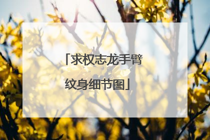 求权志龙手臂纹身细节图