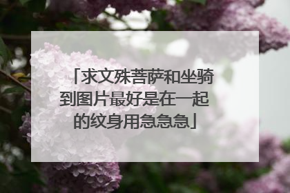 求文殊菩萨和坐骑到图片最好是在一起的纹身用急急急