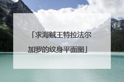 求海贼王特拉法尔加罗的纹身平面图