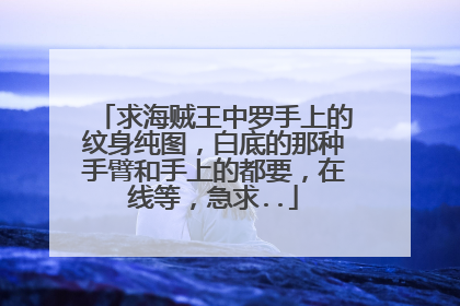 求海贼王中罗手上的纹身纯图,白底的那种手臂和手上的都要,在线等,急求..