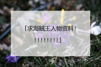 求海贼王人物资料!!!!!!!!!