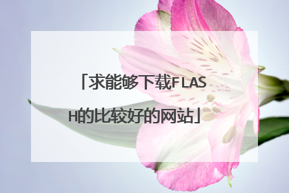 求能够下载FLASH的比较好的网站