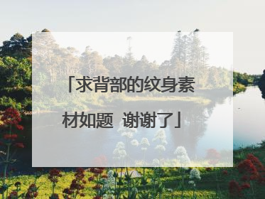 求背部的纹身素材如题 谢谢了