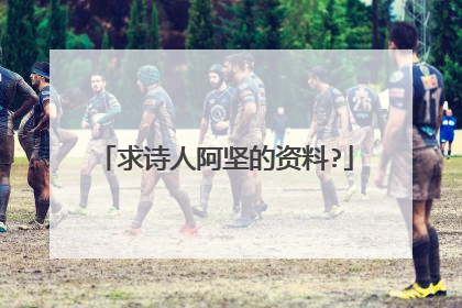 求诗人阿坚的资料?