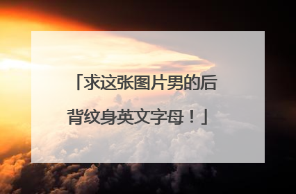 求这张图片男的后背纹身英文字母！