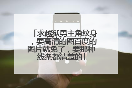 求越狱男主角纹身，要高清的图百度的图片就免了，要那种线条都清楚的