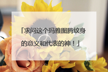 求问这个玛雅图腾纹身的意义和代表的神！