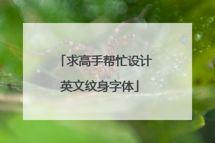 求高手帮忙设计英文纹身字体