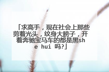 求高手，现在社会上那些剪着光头，纹身大膀子，开着奔驰宝马车的都是黑she hui 吗?