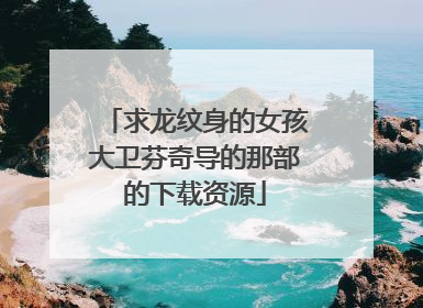 求龙纹身的女孩大卫芬奇导的那部的下载资源