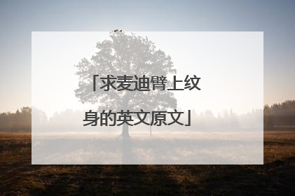 求麦迪臂上纹身的英文原文