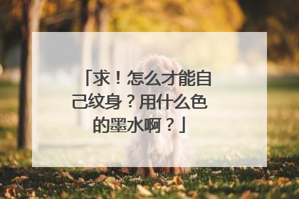 求!怎么才能自己纹身?用什么色的墨水啊?