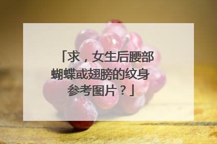 求，女生后腰部蝴蝶或翅膀的纹身参考图片？