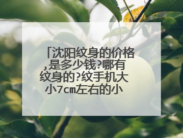 沈阳纹身的价格,是多少钱?哪有纹身的?纹手机大小7cm左右的小纹身,要多久?