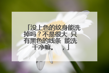 没上色的纹身能洗掉吗？不是很大 只有黑色的线条 能洗干净嘛。 ，