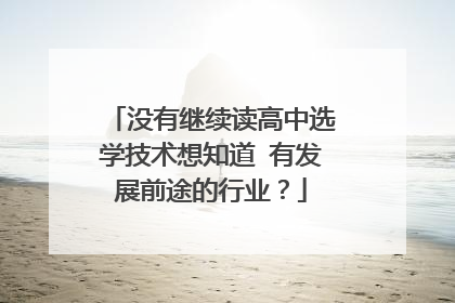 没有继续读高中选学技术想知道 有发展前途的行业？