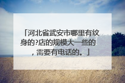 河北省武安市哪里有纹身的?店的规模大一些的，需要有电话的。