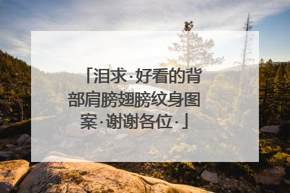 泪求·好看的背部肩膀翅膀纹身图案·谢谢各位·