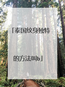 泰国纹身独特的方法叫b