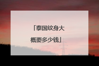 泰国纹身大概要多少钱