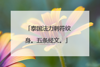 泰国法力刺符纹身。五条经文。