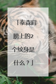 泰森肩膀上的2个纹身是什么?