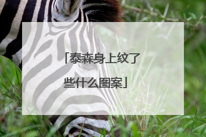 泰森身上纹了些什么图案