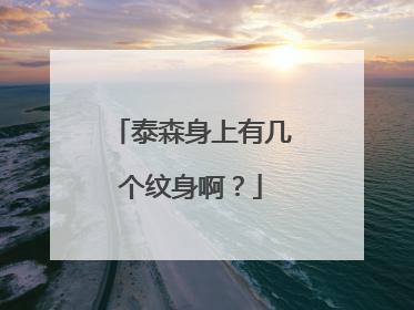 泰森身上有几个纹身啊?