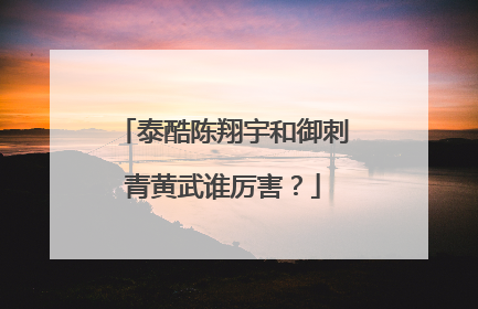 泰酷陈翔宇和御刺青黄武谁厉害？