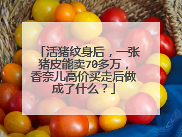 活猪纹身后，一张猪皮能卖70多万，香奈儿高价买走后做成了什么？