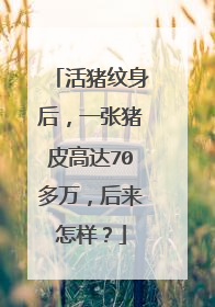 活猪纹身后，一张猪皮高达70多万，后来怎样？