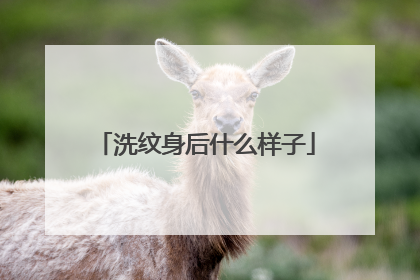洗纹身后什么样子