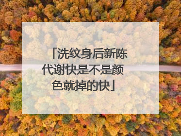 洗纹身后新陈代谢快是不是颜色就掉的快