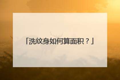 洗纹身如何算面积?