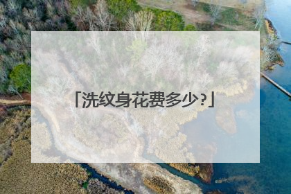 洗纹身花费多少?